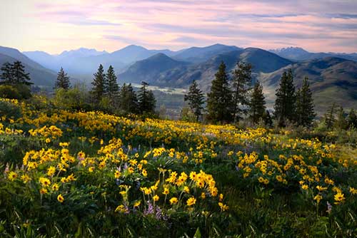 Cascades National Park