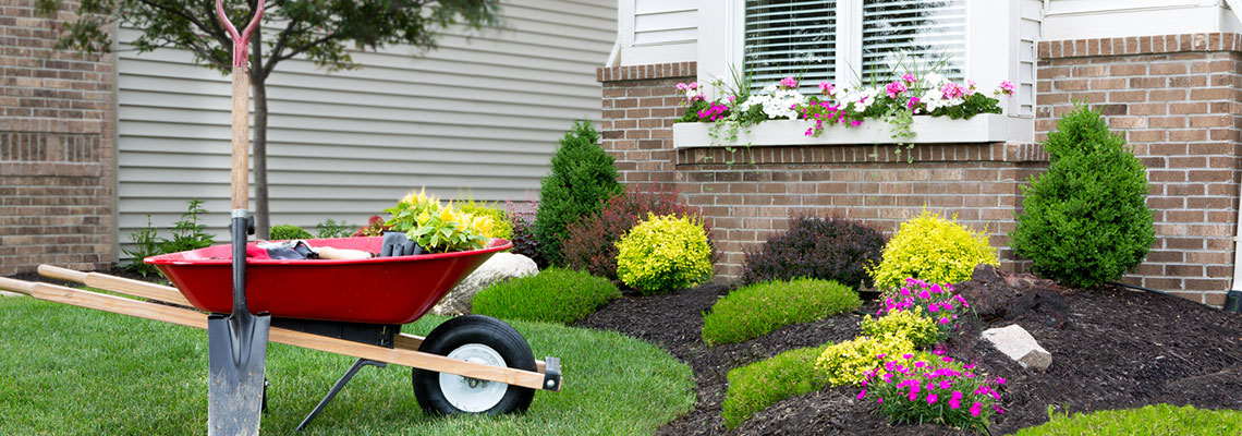 creating-year-round-color-in-your-yard-hero creating-year-round-color-in-your-yard-hero
