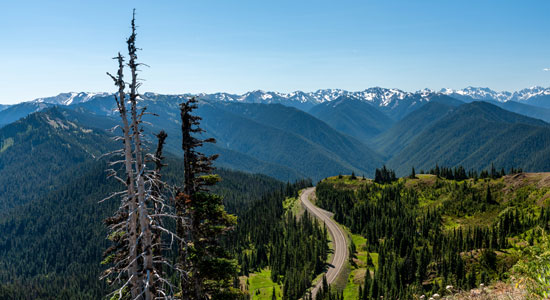 thumbnailfor Olympic peninsula