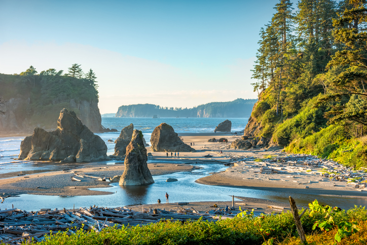 Sea stacks and driftwood along Ruby Beach with waves crashing on the shore