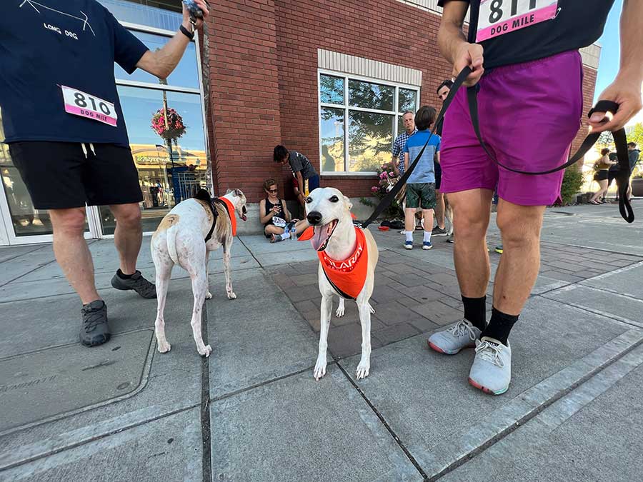 Downtown Yakima Mile 2023