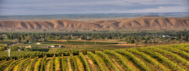 Yakima-Wine-Tasting